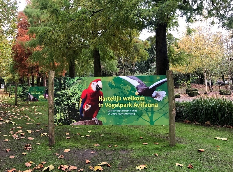 Avifauna-06